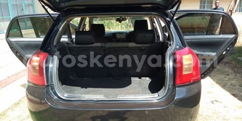 Big with watermark 59732832 1553518824784514 8884452950596911104 n