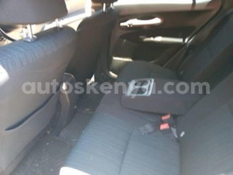 Big with watermark 59701243 1552977018172028 2227689151480725504 n