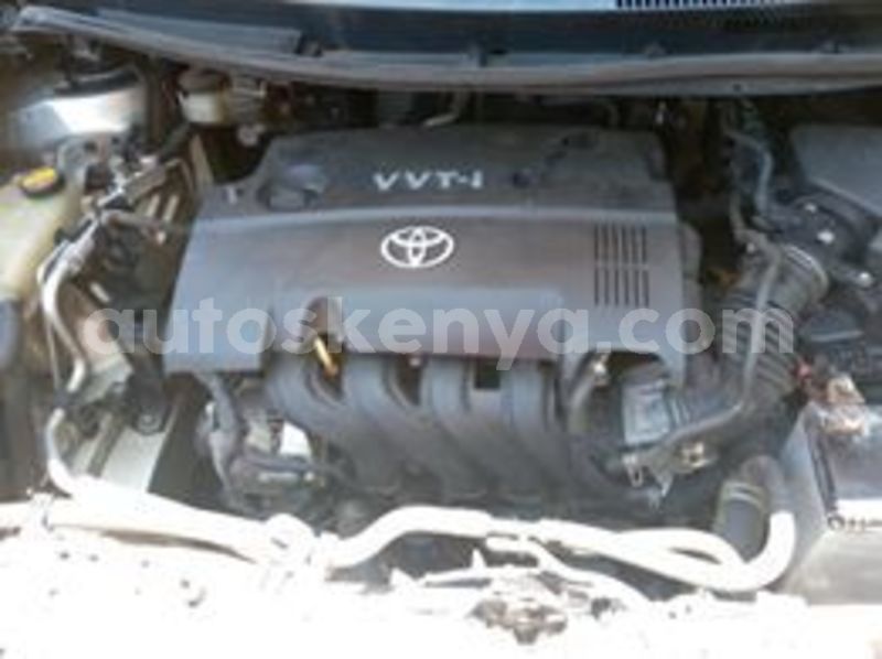 Big with watermark 59419210 1552977071505356 1178761913350225920 n