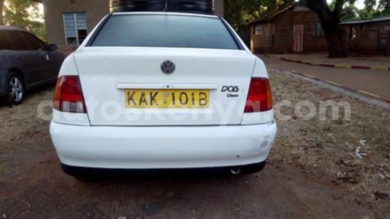 Big with watermark 56952767 1524567694346294 1259861633316945920 n