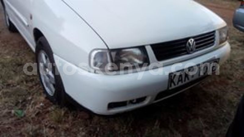 Big with watermark 56739248 1524567774346286 9171412222587437056 n