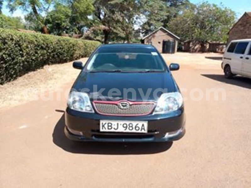 Big with watermark 53343653 1495518937251170 4279076569839828992 n