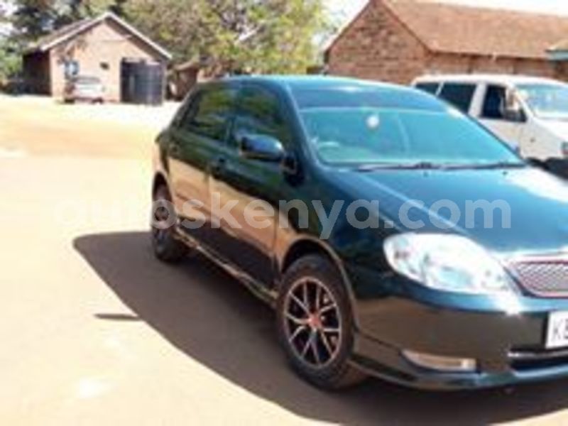 Big with watermark 53622442 1495519303917800 6889919431674167296 n