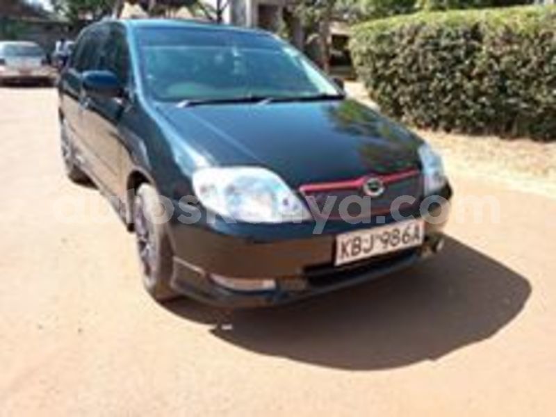 Big with watermark 53580557 1495519687251095 3735089622879830016 n