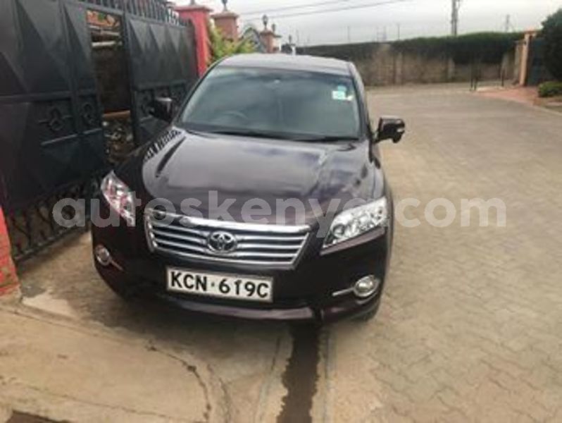 Big with watermark 52602441 1484425781693819 3058975372927303680 n