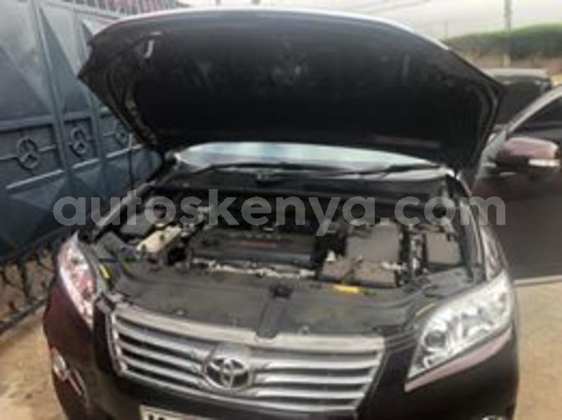 Big with watermark 53100510 1484425868360477 543124410152779776 n