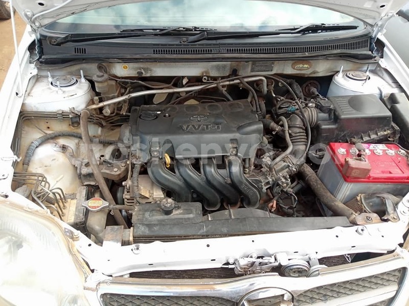 Big with watermark 67183175 1283357371822940 3365049164940443648 n