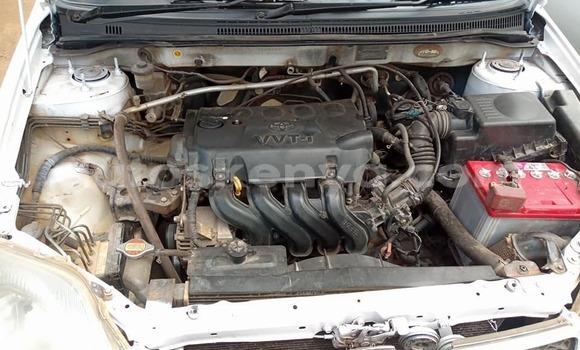 Buy Used Toyota Fielder White Car in Kiambu in Central Kenya Buy Used Toyota Fielder White Car in Kiambu in Central Kenya