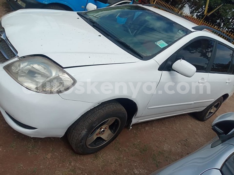 Big with watermark 67201944 1283357311822946 7649924563400130560 n