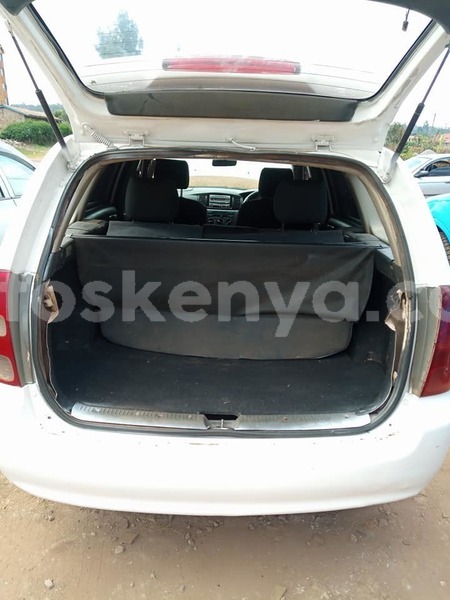 Big with watermark 67195947 1283357245156286 6658541864037122048 n