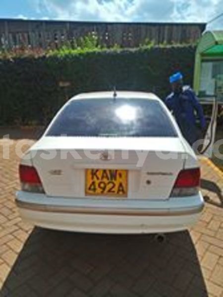 Big with watermark 67086435 1282102058615138 8125694111006064640 n