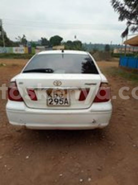 Big with watermark 67526529 1281811688644175 1772555444263321600 n