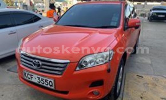 Buy Used Toyota Vanguard Red Car in Kiambu in Central Kenya Buy Used Toyota Vanguard Red Car in Kiambu in Central Kenya