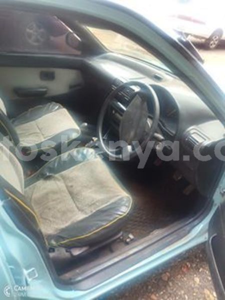 Big with watermark 61856995 1246734292151915 4322461761073577984 n