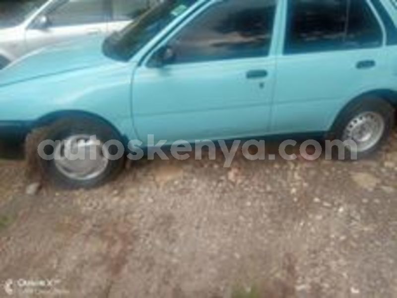 Big with watermark 61582667 1246734398818571 7430787802880540672 n