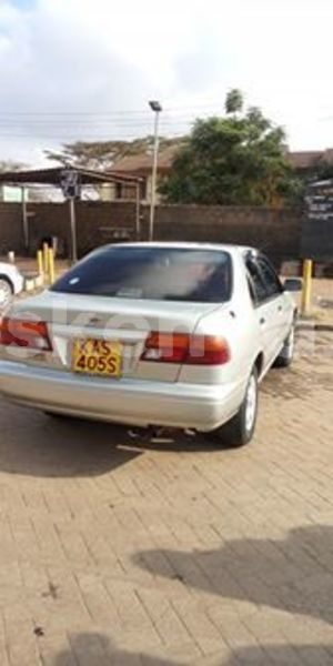 Big with watermark 67535560 670523210083011 1489679852947636224 n