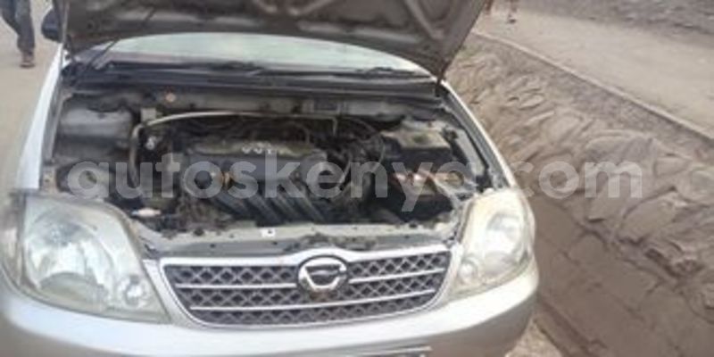 Big with watermark 67606726 668788990256433 8065982688223297536 n