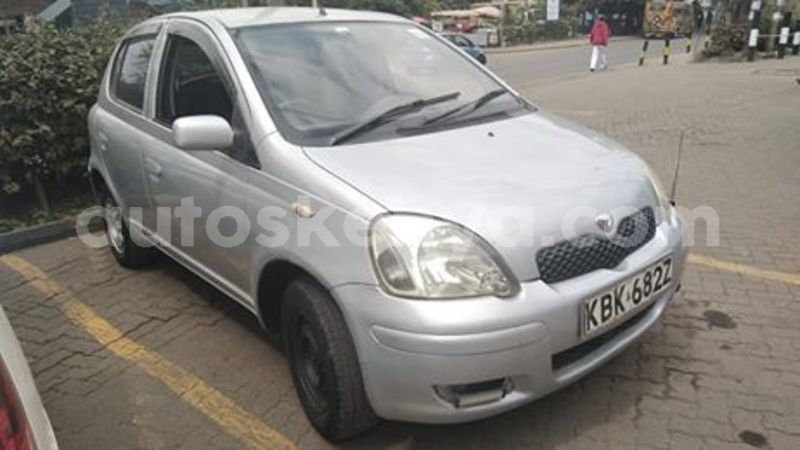 Big with watermark 66722782 665169393951726 2191412204136300544 n