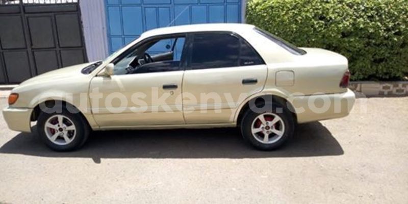 Big with watermark 59778433 622692238199442 8863739225271435264 n