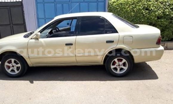 CarsMotorbikes Buy And Kenya Autoskenya Sell Trucks In 13TKJuclF