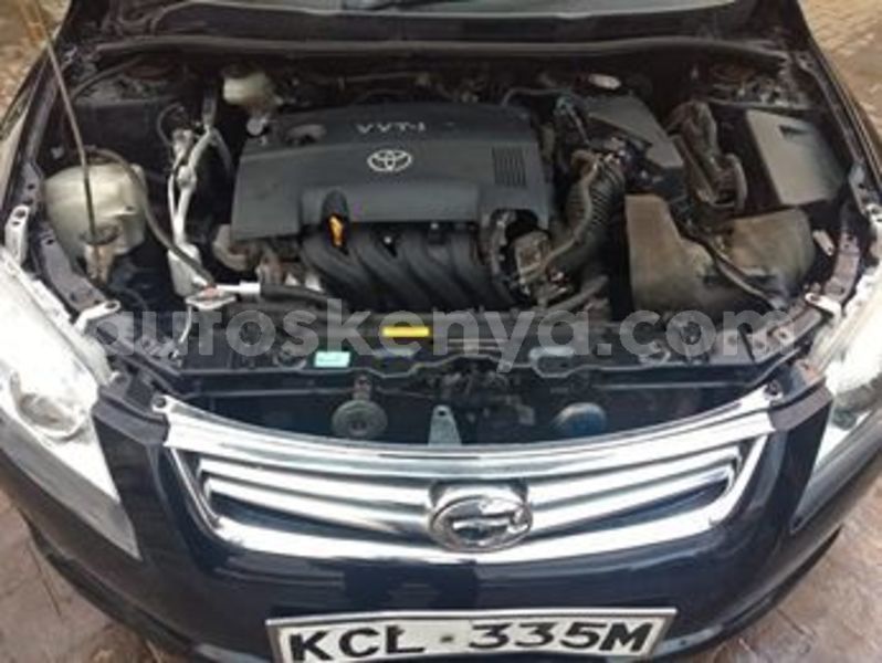 Big with watermark 67203554 2347752595505035 1489815548144386048 n