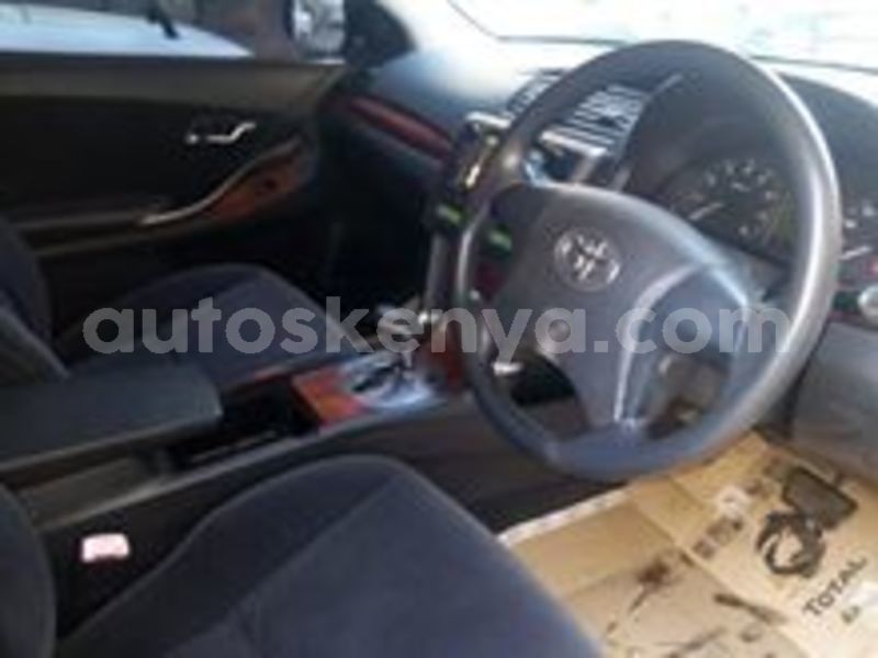 Big with watermark 66457846 2340952726185022 8554082949497094144 n