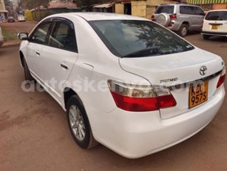 Big with watermark 65575937 2336353579978270 3570733336269684736 n