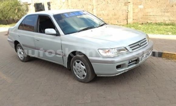 Nunua Ilio tumika Toyota Premio Fedha Gari ndani ya Nairobi nchini Nairobi Nunua Ilio tumika Toyota Premio Fedha Gari ndani ya Nairobi nchini Nairobi