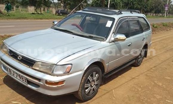 Nunua Ilio tumika Toyota Corolla Fedha Gari ndani ya Nairobi nchini Nairobi Nunua Ilio tumika Toyota Corolla Fedha Gari ndani ya Nairobi nchini Nairobi