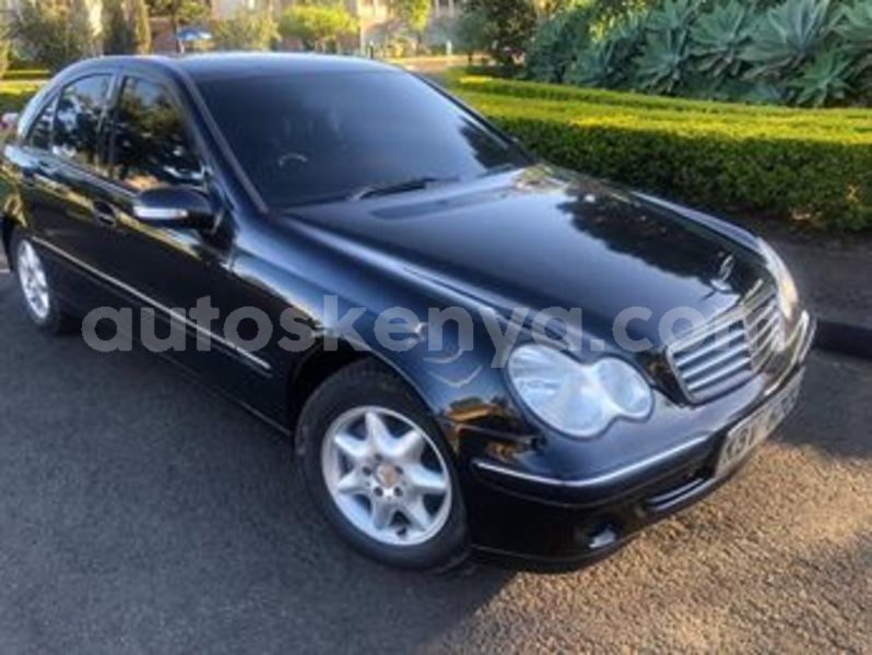 Big with watermark 68261959 2480484571990809 2090806065561075712 n