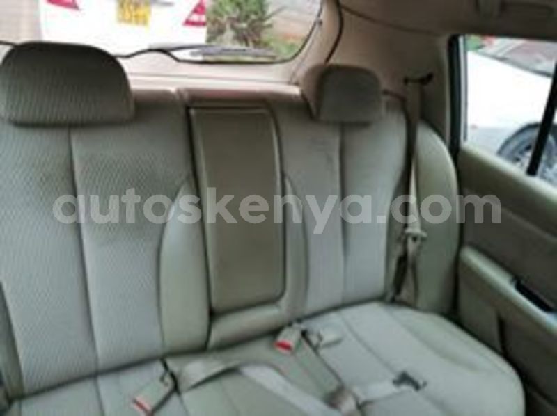 Big with watermark 67498242 2472238582815408 2352586671599386624 n