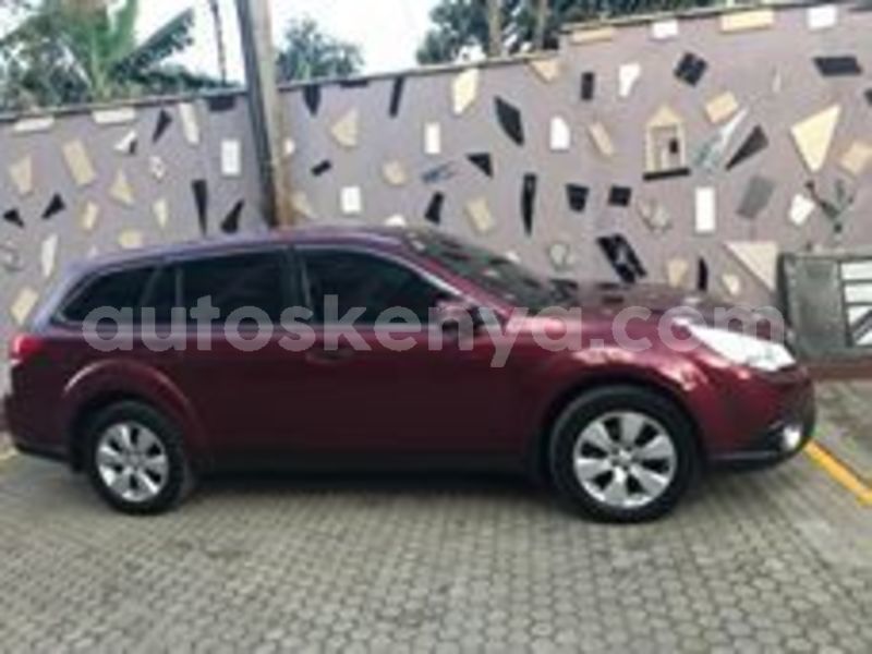 Big with watermark 67487246 2470484616324138 289089687438491648 n