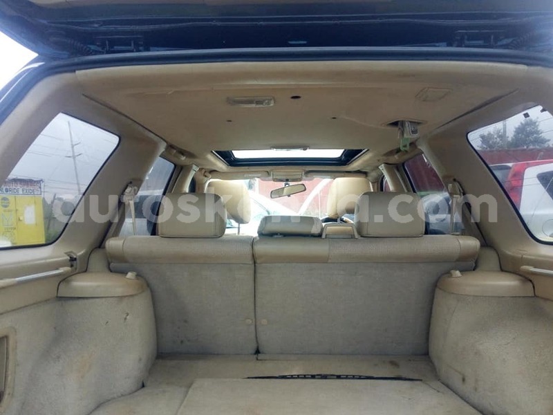 Big with watermark 69642361 2835347149811694 6292449752353079296 n