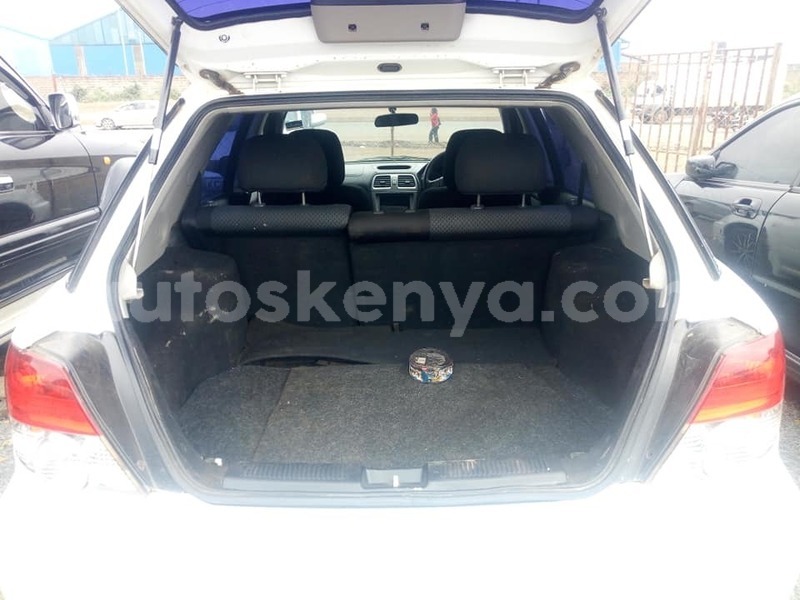 Big with watermark 70326548 2835353943144348 1577823675762081792 n