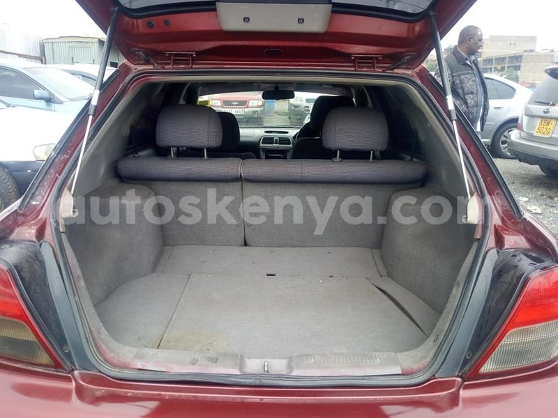 Big with watermark 70070002 2835357966477279 9011278064922918912 n