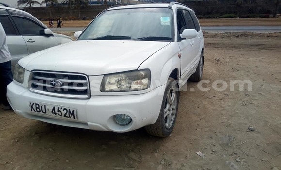 Nunua Ilio tumika Subaru Forester Nyeupe Gari ndani ya Nairobi nchini Nairobi Nunua Ilio tumika Subaru Forester Nyeupe Gari ndani ya Nairobi nchini Nairobi