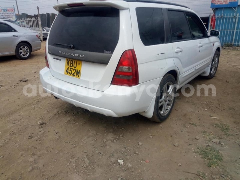 Big with watermark 67958162 2799206900092386 3731068661612412928 n 1