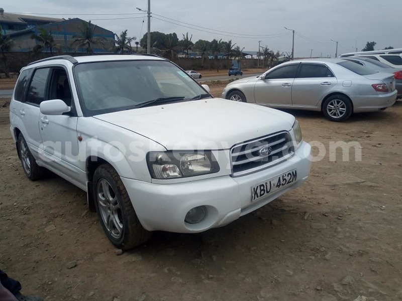 Big with watermark 68824829 2799206700092406 6229150313891233792 n 1