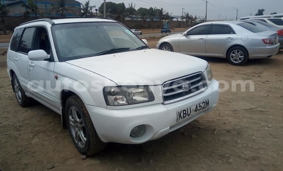 Nunua Ilio tumika Subaru Forester Nyeupe Gari ndani ya Nairobi nchini Nairobi Nunua Ilio tumika Subaru Forester Nyeupe Gari ndani ya Nairobi nchini Nairobi