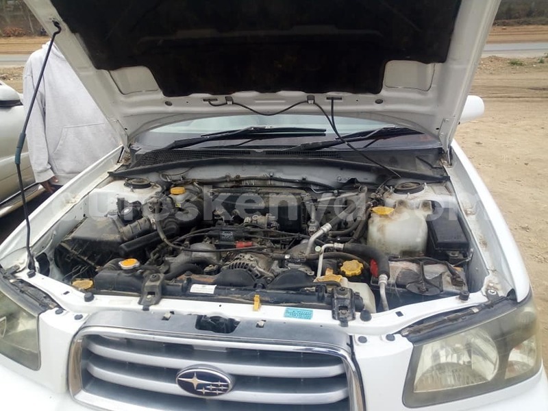 Big with watermark 68770974 2799207220092354 8311294456913461248 n