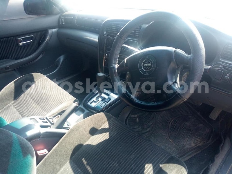 Big with watermark 68266924 2790128497666893 3833294376520384512 n