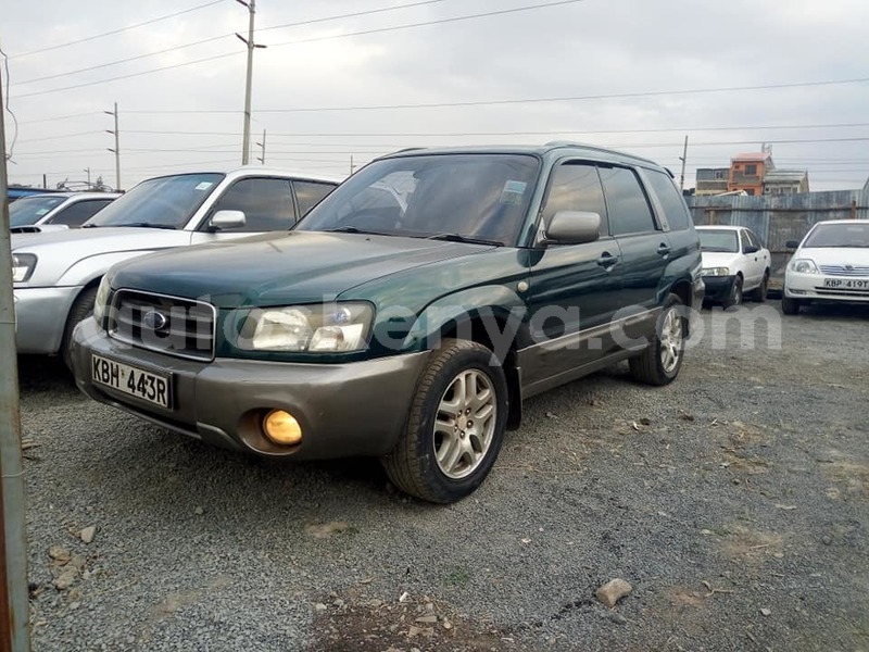 Big with watermark 67687598 2758988157447594 8334746816595623936 n