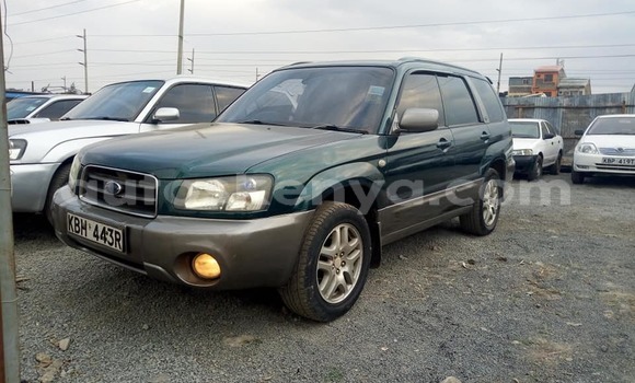 Nunua Ilio tumika Subaru Forester Kijani Gari ndani ya Nairobi nchini Nairobi Nunua Ilio tumika Subaru Forester Kijani Gari ndani ya Nairobi nchini Nairobi
