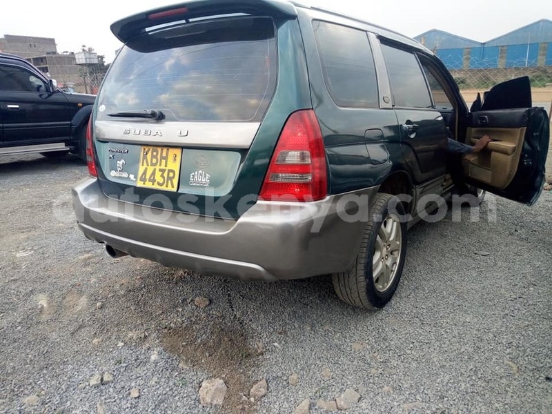 Big with watermark 67401683 2758988874114189 4277809142170648576 n