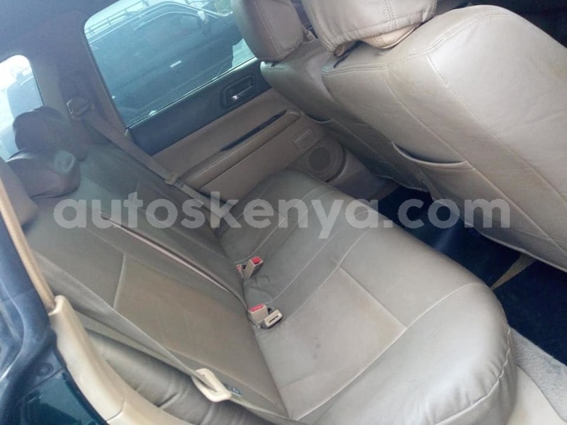 Big with watermark 67206776 2758989670780776 4941190446178107392 n