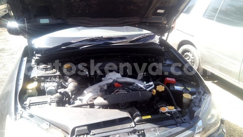 Big with watermark 56977038 2572889626057449 2006279734786260992 n