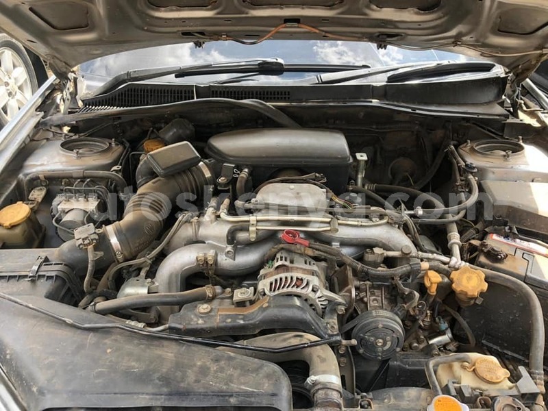 Big with watermark 69617010 2292046347712134 4751668984108023808 n