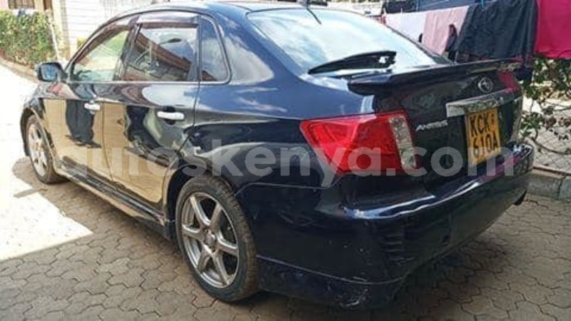 Big with watermark 69879134 2290216961228406 7976614808319426560 n