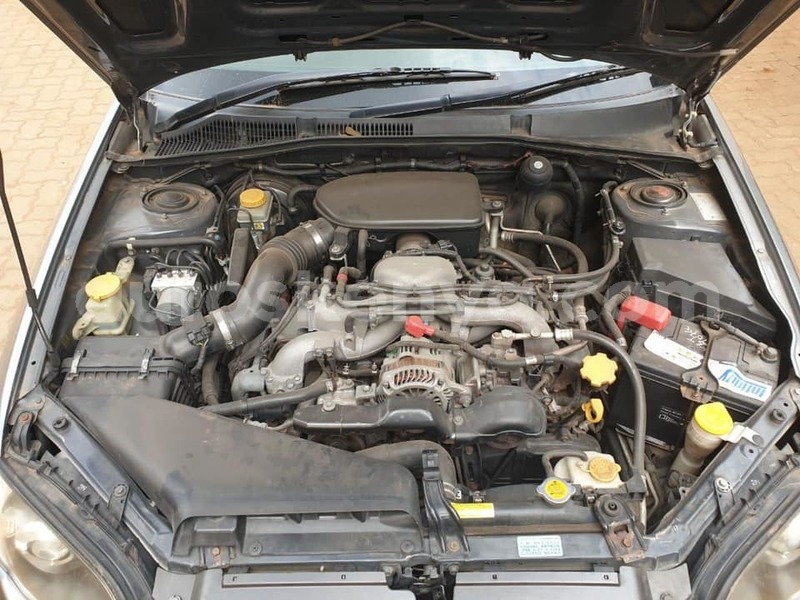 Big with watermark 69846365 2288905558026213 479343823684632576 n