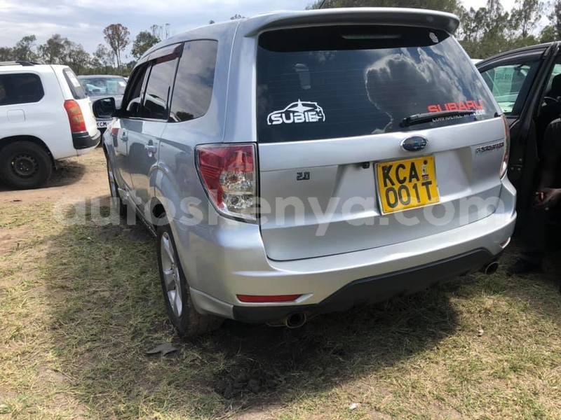 Big with watermark 69790302 2287979731452129 234371507734708224 n